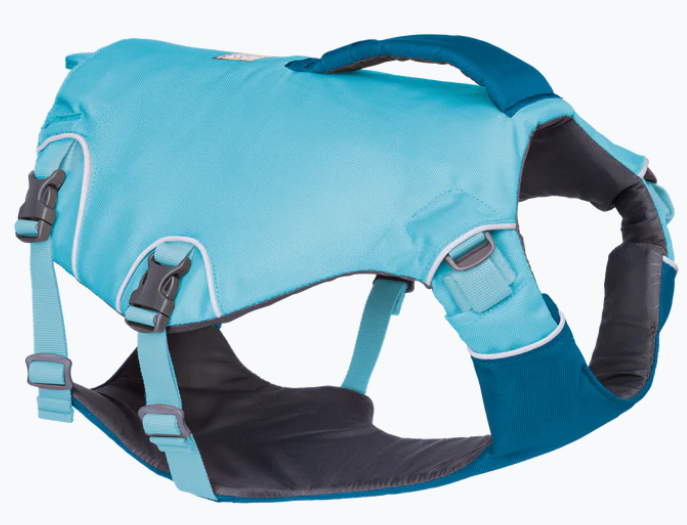 dog's life jacket